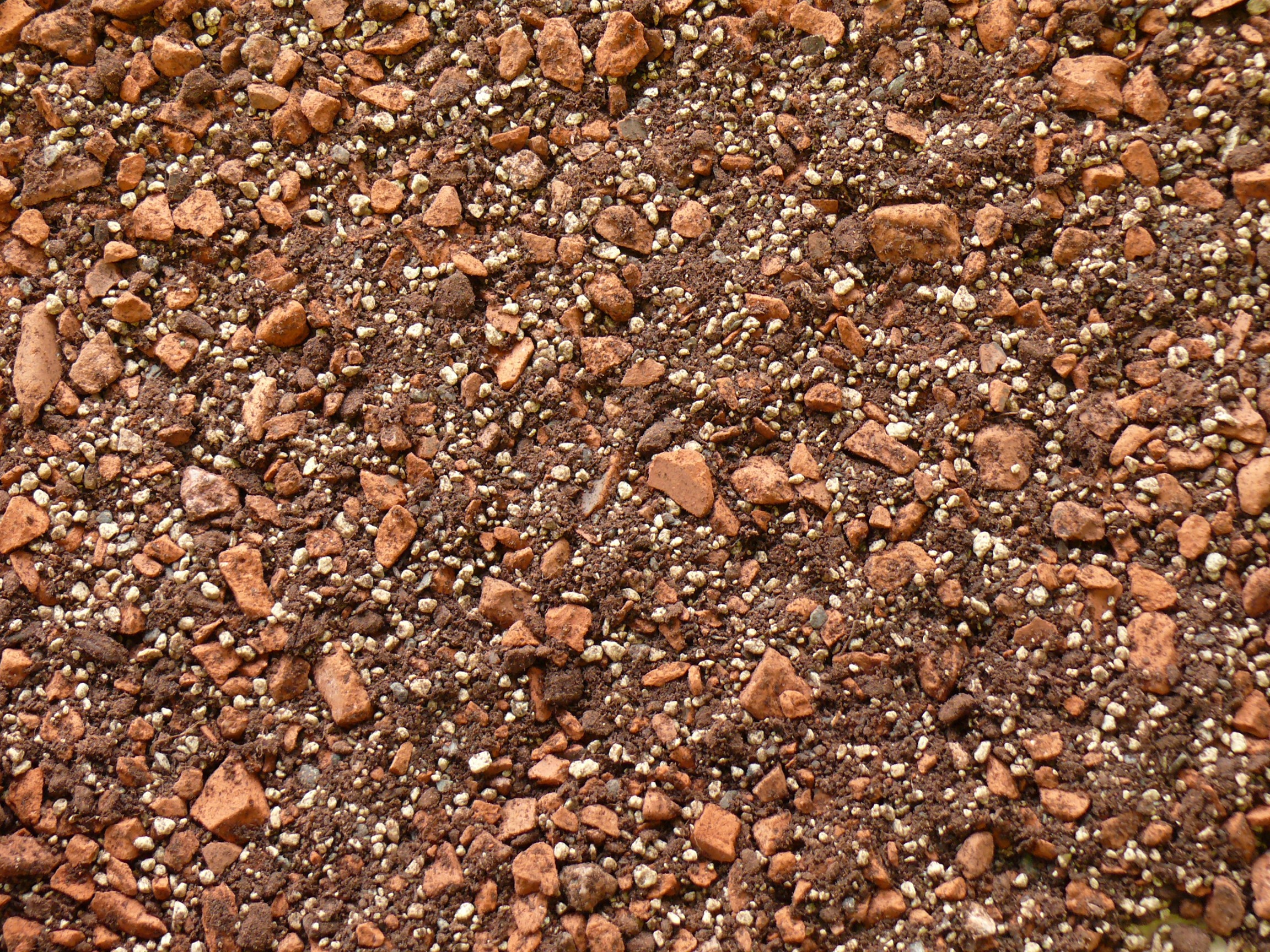 Zinco Systemerde Lavendelheide, im Silo inkl. Fracht