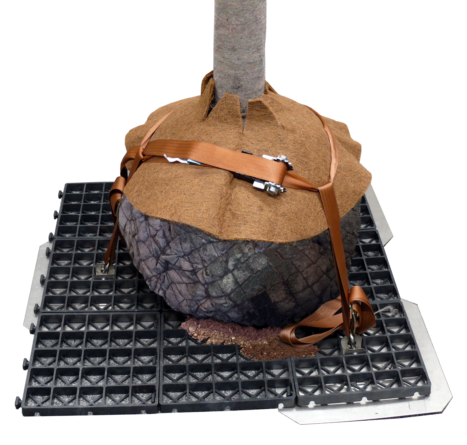 Zinco Robafix auflastgehaltenes Baumverankerungssystem