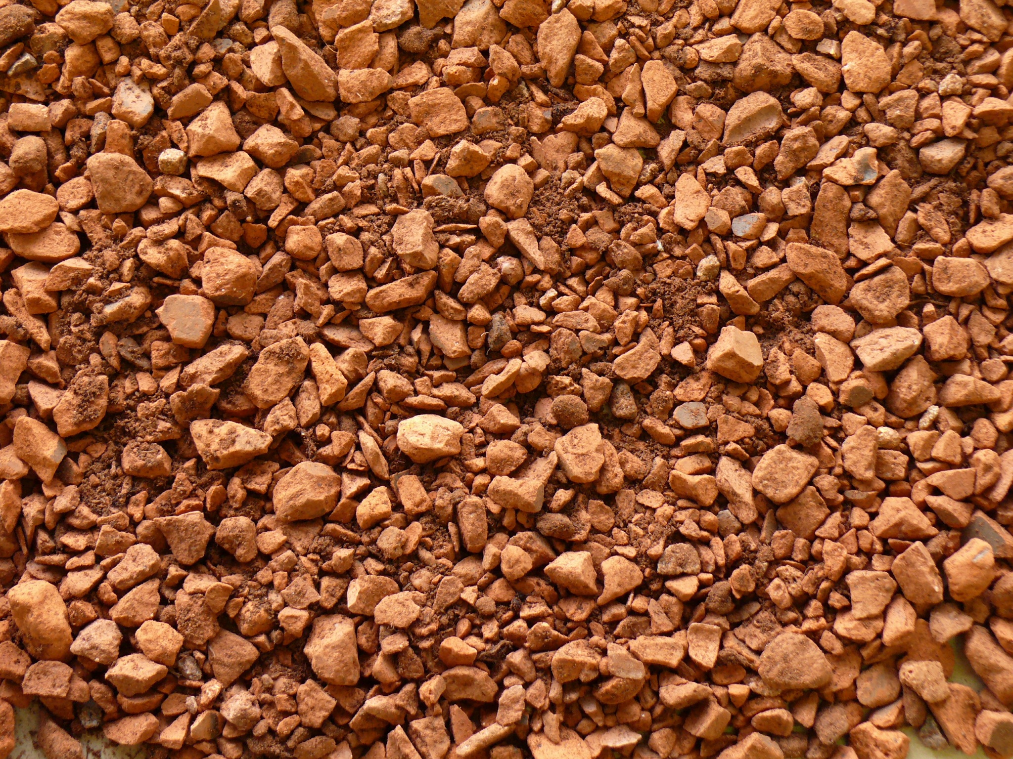 Zinco Systemerde Sedumteppich lose im Kipper, inkl. Fracht